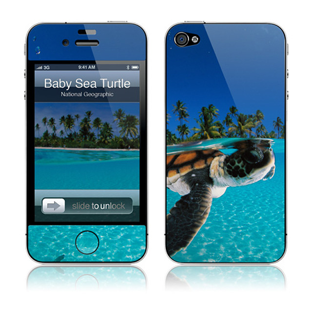 【iPhone4S/4 スキンシール】Baby Green Sea Turtle National Geographic × GELASKINS