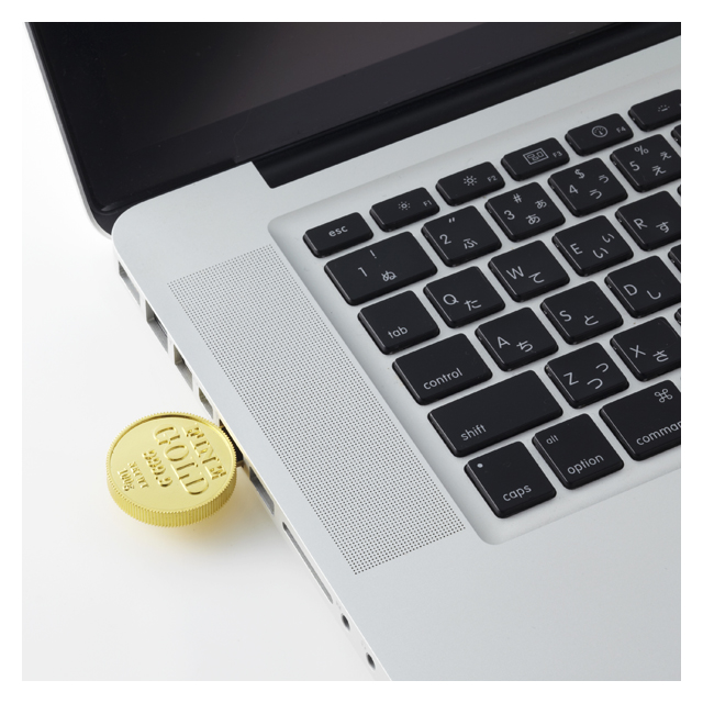 GOLD COIN USB メモリサブ画像