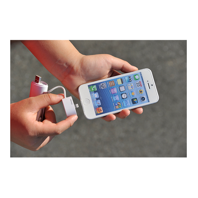 コネクタ一体型モバイルバッテリー iCharge Candy ホワイトサブ画像