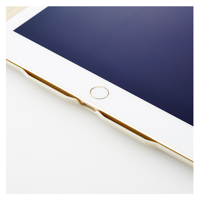 【iPad Air2 ケース】スマートフリップケース サウンドホーン付き(3 つ折りフリップ) [ブラウン]サブ画像