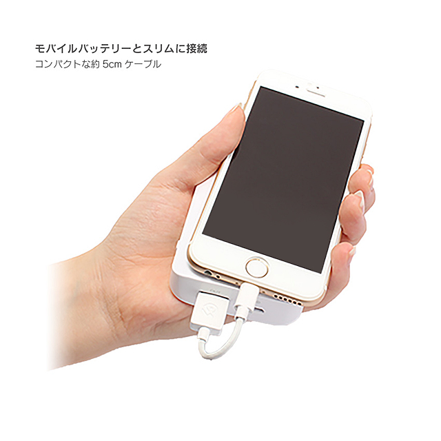 USB Lightning Cable 「ケーブルを持ち歩く、新しいカタチ。」 (ブラック)goods_nameサブ画像