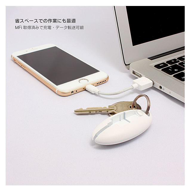 USB Lightning Cable 「ケーブルを持ち歩く、新しいカタチ。」 (ブラック)goods_nameサブ画像