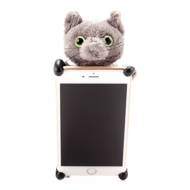 【iPhone8/7/6s/6 ケース】ZOOPY home (ネコ・グレー)goods_nameサブ画像