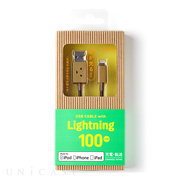 DANBOARD USB Cable with Lightning connector (100cm)