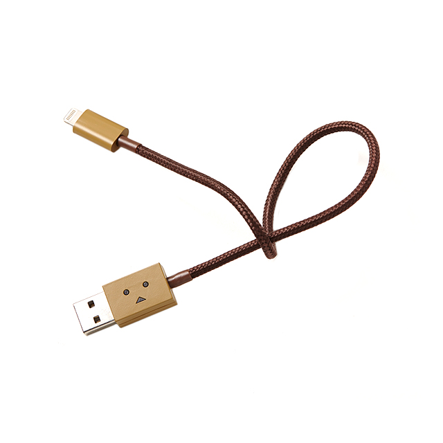 DANBOARD USB Cable with Lightning connector (25cm)goods_nameサブ画像