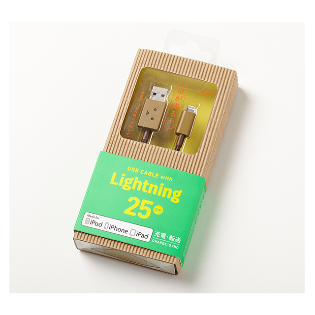 DANBOARD USB Cable with Lightning connector (25cm)goods_nameサブ画像