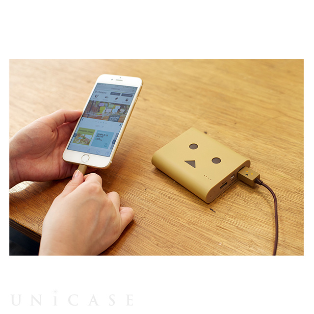 Power Plus 3 13400mAh DANBOARD version (Light Brown)goods_nameサブ画像