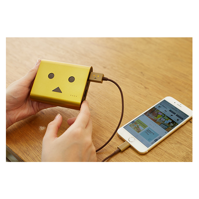 Power Plus 3 13400mAh DANBOARD version (Gold ingot)サブ画像