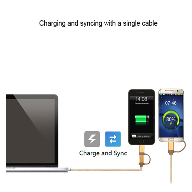 2 in 1 SYNC CABLE (Gold)サブ画像