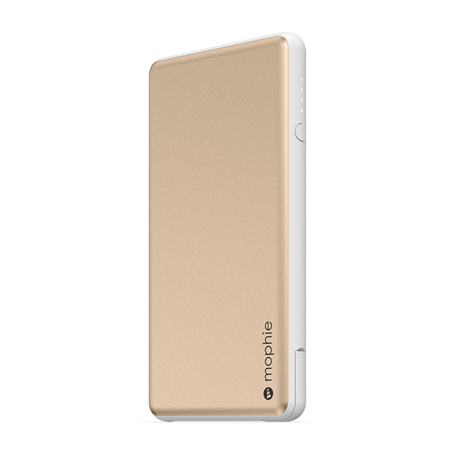 powerstation plus (Gold)サブ画像