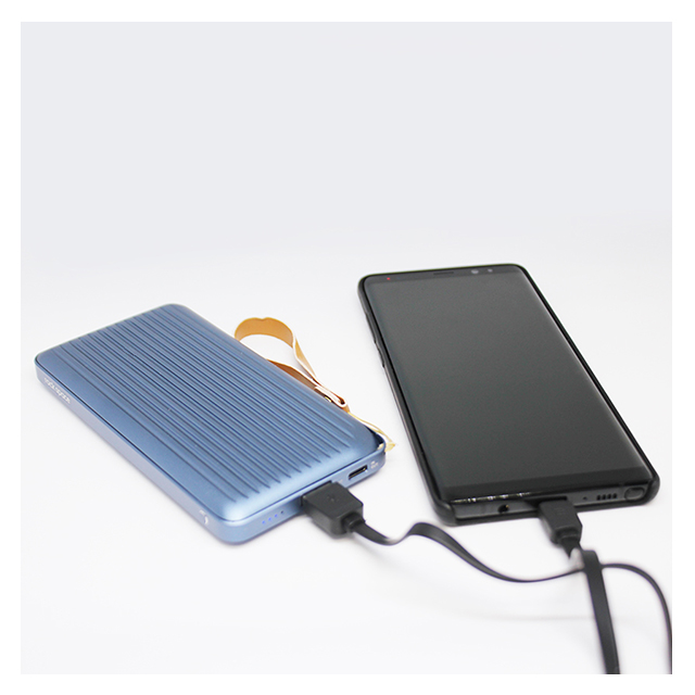 Evo Type-C Power Bank 10000mAh (シルバー)goods_nameサブ画像