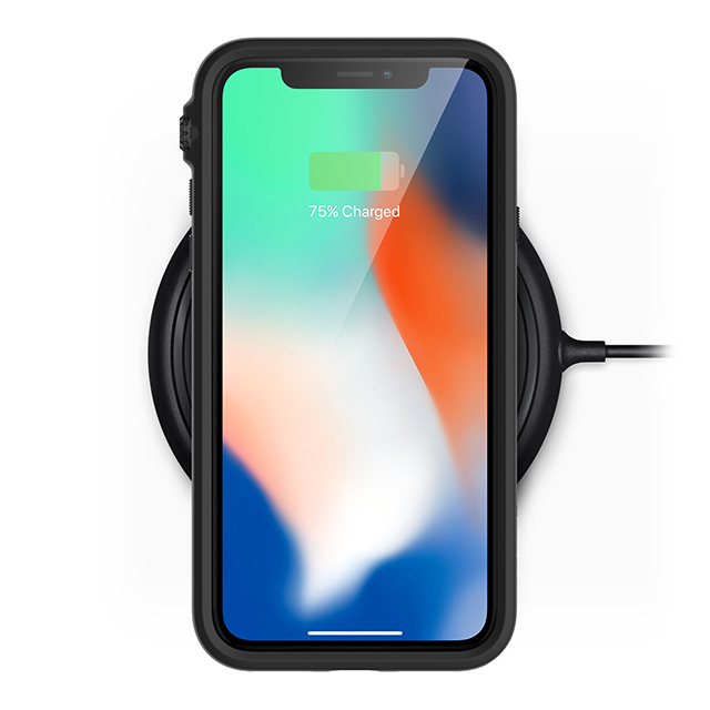 【iPhoneXS/X ケース】Catalyst Impact Protection case (ブルーリッジサンセット)サブ画像