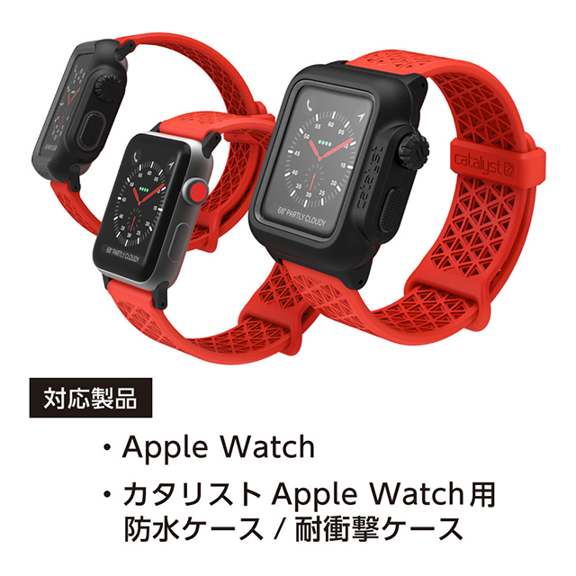 【Apple Watch バンド 40/38mm】Catalyst スポーツバンド (スペースグレー) for Apple Watch Series4/3/2/1サブ画像