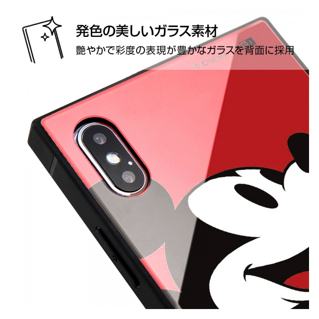 【iPhoneXS Max ケース】ディズニーキャラクター/耐衝撃ガラスケース KAKU (90周年/Anniversary_11)goods_nameサブ画像