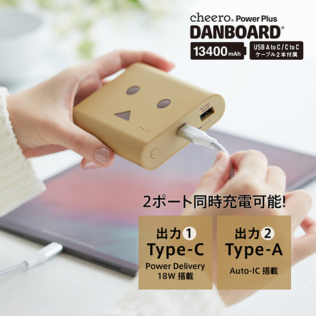 Power Plus DANBOARD 13400mAh PD18W (ライトブラウン)サブ画像