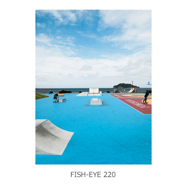 FISH-EYE 220
