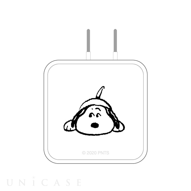 ピーナッツ USB2ポート ACアダプタ (よそ見)