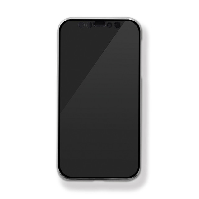 【iPhone12/12 Pro ケース】メッキクリア (シルバー)goods_nameサブ画像