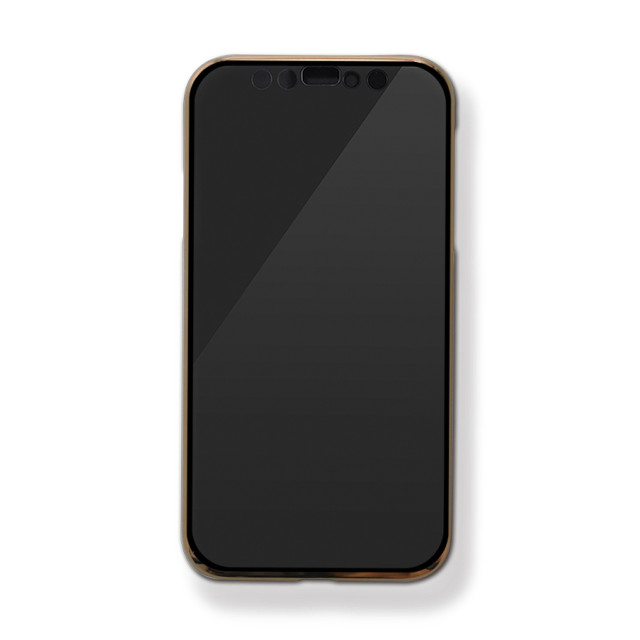 【iPhone12/12 Pro ケース】メッキクリア (ゴールド)goods_nameサブ画像