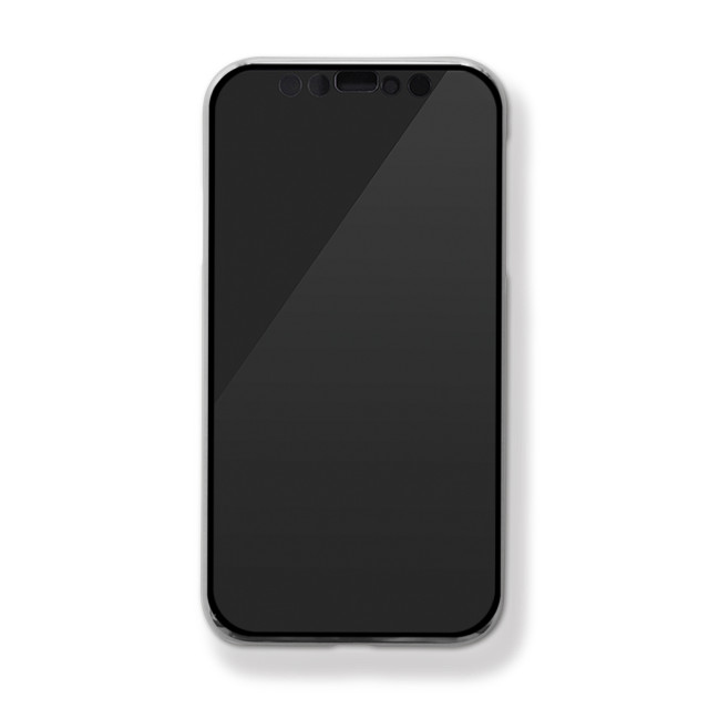 【iPhone12 Pro Max ケース】メッキクリア (シルバー)サブ画像