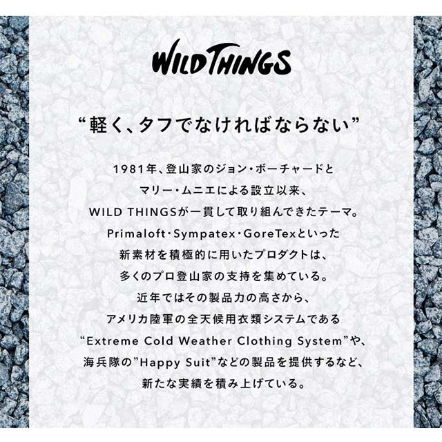 【AirPods Pro(第1世代) ケース】WILD THINGS カラビナ付きTPUケース (ブラック)サブ画像