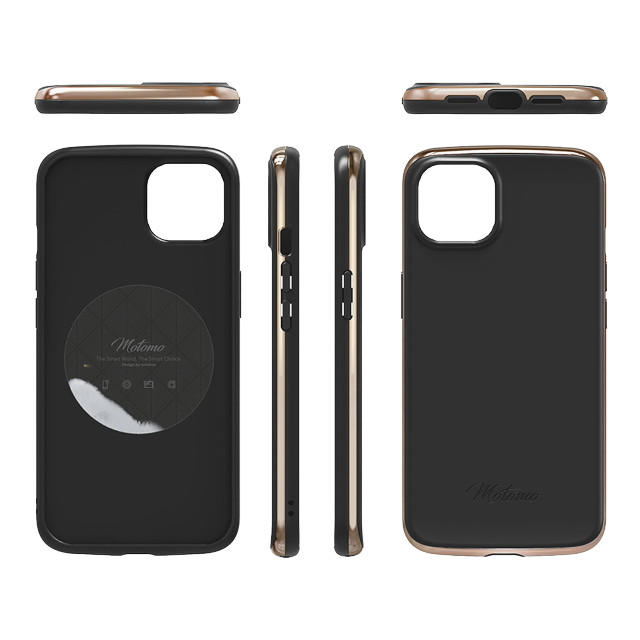 【iPhone13 ケース】INO LINE INFINITY CASE (Chrome Gold Stone Black)サブ画像