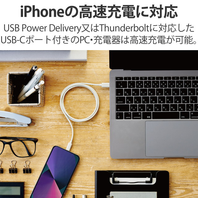 USB-C to Lightningケーブル (スタンダード) (シルバー)goods_nameサブ画像