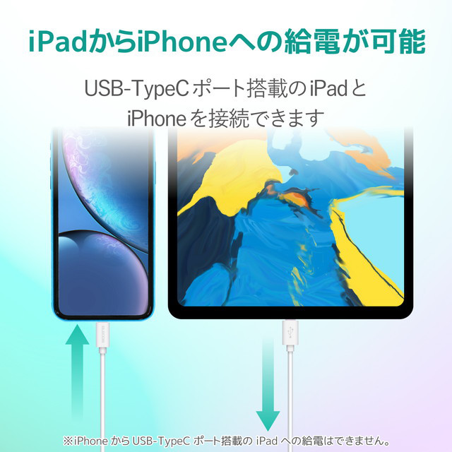 USB-C to Lightningケーブル (やわらか) (0.3m ホワイト)goods_nameサブ画像