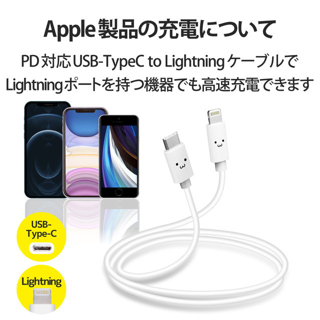 USB PD20Wモバイルバッテリー(10000mAh/USB PD準拠/C×1+A×1) (ネイビー)goods_nameサブ画像