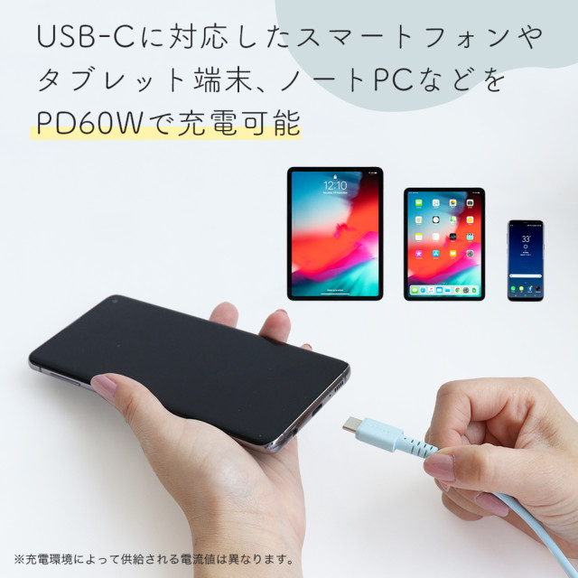 しなやかで絡まない シリコンケーブル 急速充電 データ転送対応 USB-A to USB-C (ラテグレージュ/2m)サブ画像