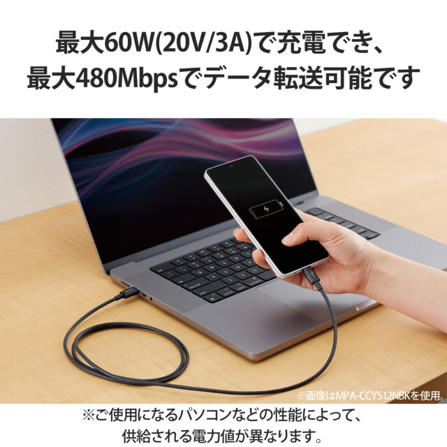 USB Type-C to USB Type-Cケーブル/USB Power Delivery対応/やわらか耐久 (2.0m/ブラック)サブ画像