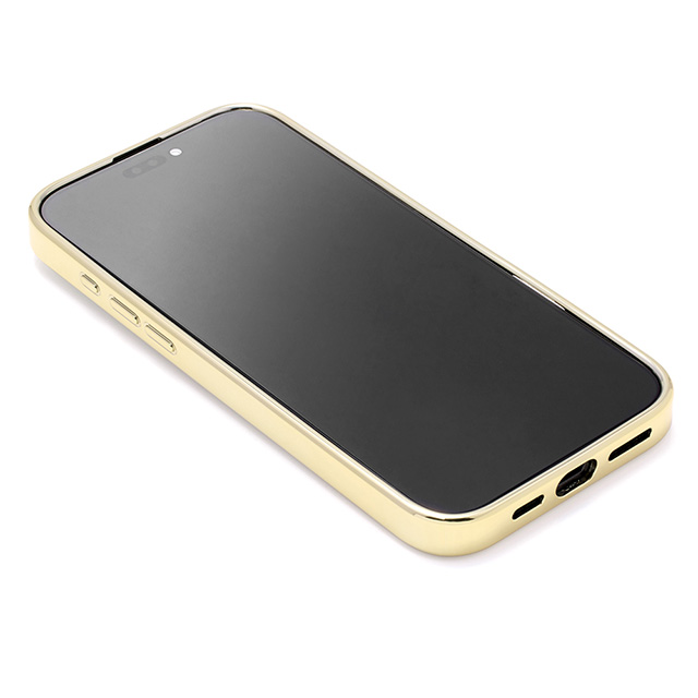 【iPhone16 Pro Max ケース】Glass Shell Case (gold)サブ画像